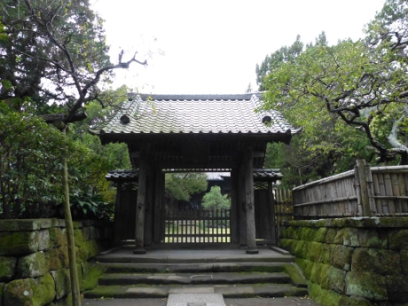 画像24